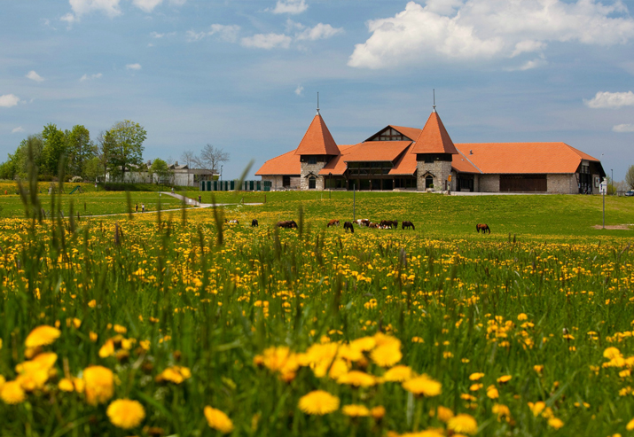 Hall_marche_concours